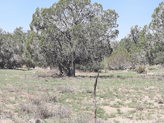 121 Peaceful Hill Rd, Seligman, AZ 86337