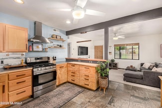 924 N Bryant Ave, Tucson, AZ 85711