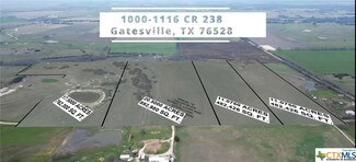 Lot 1 County Rd 238, Other, TX 76528