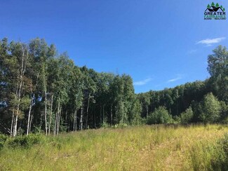 NHN Westwick Dr, Fairbanks, AK 99712