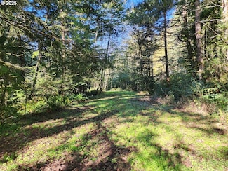 0 Eighty Acres Rd Unit 615389069, Gold Beach, OR 97444