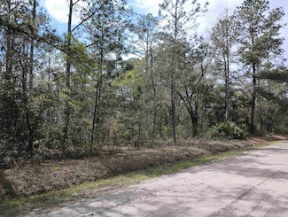 5429 Jonathan St, Flagler Estates, FL 32145