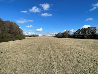 0 County Road 3316 Unit 27323, Brundidge, AL 36010