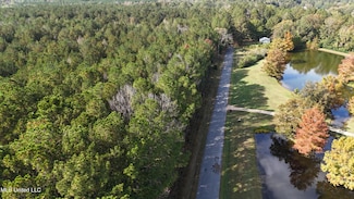 0 Old Pinola Braxton Rd, Braxton, MS 39044