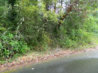 1 Nootka Dr, Fox Island, WA 98333