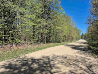 North 10 Acres Perch Lake Rd, Au Train Township, MI 49862