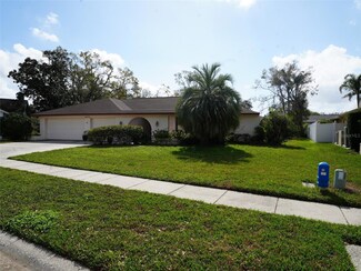 4072 Belmoor Dr, Palm Harbor, FL 34685