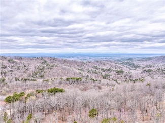 1000 Raccoon Ridge Rd NE, Ranger, GA 30734
