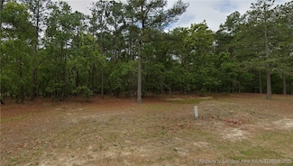 30 Peach Orchard Rd, Wagram, NC 28396
