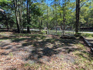 Lot 5301 Tribes Dr, Shohola Township, PA 18458