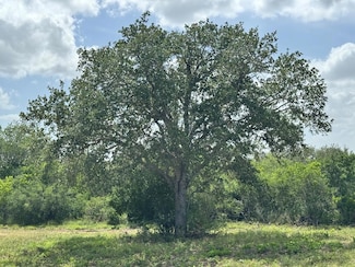 000 County Road 104, Normanna, TX 78142