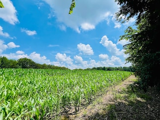 81 Shearer Cemetery Rd Unit Tract 5, Columbia, KY 42728