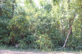 0 Hall Cir, Bristol, FL 32321