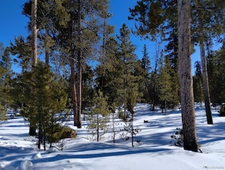 416 Cedar Dr, Leadville, CO 80461
