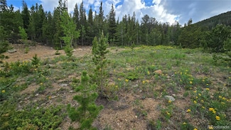0 Aspen Rd, Idaho Springs, CO 80452