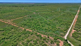 TBD Farm To Market 1919, Crowell, TX 79227