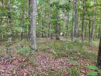 LOT 220 Sandpiper Point, Counce, TN 38326