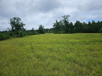 0 White Store Rd, de Kalb, MS 39328