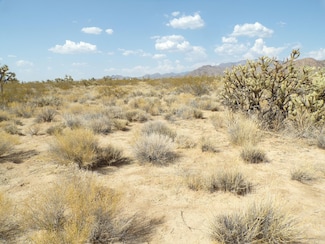 11929 S Dateland Rd, Yucca, AZ 86438