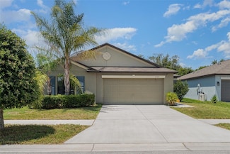 10104 Carloway Hills Dr, Wimauma, FL 33598