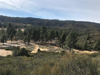 1 Butterfly Peak Rd, Mountain Center, CA 92561
