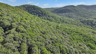 Tbd Nettle Patch, Norton, VA 24273
