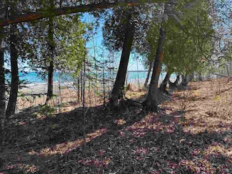 TBD Garden Island View Ct Unit Lots 180, 181,13, Beaver Island, MI 49782