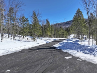 12-12-10-4 Jacob Hall Farm Rd, Rumney, NH 03266