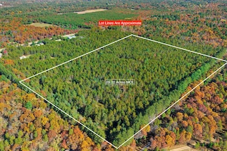 28.55 Acres Kester Rd Unit Parcel1800064, Saratoga, WI 54494