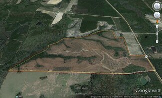 00 McDonald Paulk Rd Unit n/a, Willacoochee, GA 31650