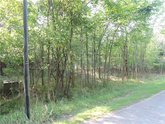 0 Saint Andrews Dr Unit 5061337, Liberty, OH 44505