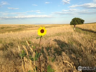 0 County Road 94, Pierce, CO 80650