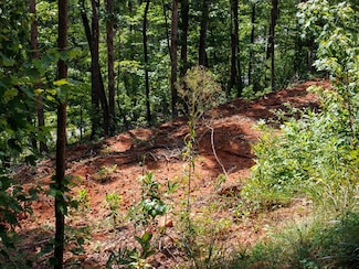 9999, Franklin, NC 28734