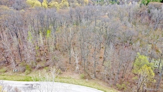 309 Dogwood Ln, Ortonville, MI 48462