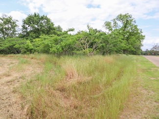 000 36 Acres Rice Rd, Taylor, AL 36301
