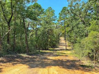 0 County Road 292, Buffalo, TX 75831