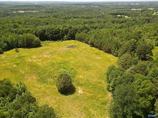 525 Overlook Rd, Blountsville, AL 35031