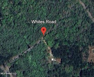 0 Whites Rd Unit 4111195, Pearlington, MS 39572