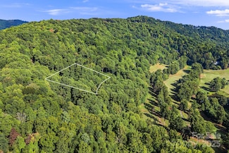 1010 High Vista Dr, Mills River, NC 28759