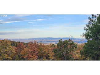 0 W Ponderosa Dr Unit Lt 157 146416163, Goldendale, WA 98620