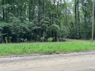 0 Michelle Ln, Johns Island, SC 29455