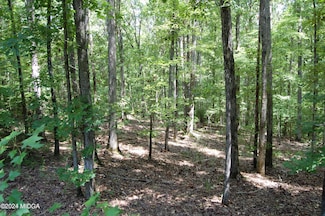 00 Avant Rd, Eatonton, GA 31024