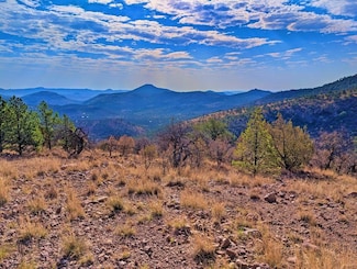 117 Apache Mountain Trail, Fort Davis, TX 79734