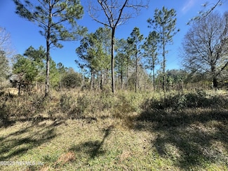 NE NE 135th Dr, Raiford, FL 32083