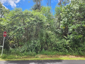 0 Moku St, Pahoa, HI 96778