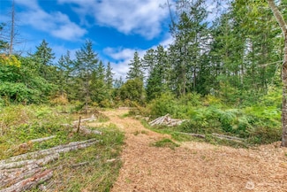 0 Lot B Spring Point Rd, Deer Harbor, WA 98245