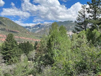 93 Deer Trail, Ridgway, CO 81432