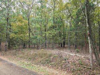 0 Lot 182 Tannenbaum Unit 25042880, Drasco, AR 72530