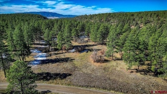 222 Regal Pines Ct, Pagosa Springs, CO 81147