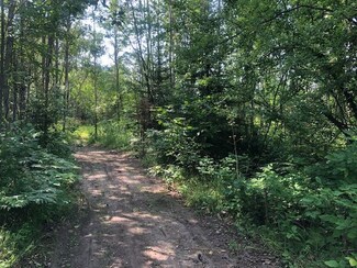 TBD Cecil Bay Rd, Carp Lake, MI 49718